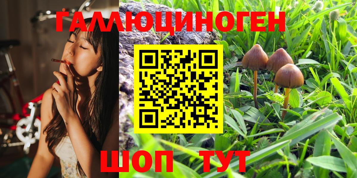 Тулун  Псилоцибиновые грибы Magic Shrooms  цена   Вход с VPN  Галлюциногенные грибы Magic Shrooms 